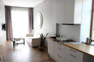 Апартаменты Owl Apartments Каунас Стандартные апартаменты-21