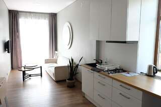 Апартаменты Owl Apartments Каунас Стандартные апартаменты-7